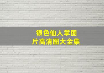 银色仙人掌图片高清图大全集