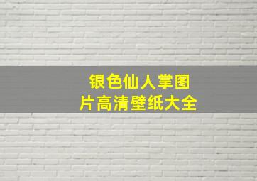 银色仙人掌图片高清壁纸大全