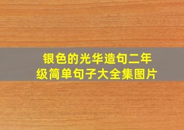 银色的光华造句二年级简单句子大全集图片