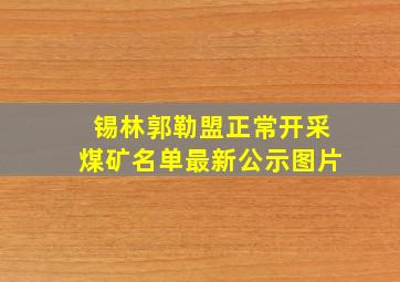 锡林郭勒盟正常开采煤矿名单最新公示图片