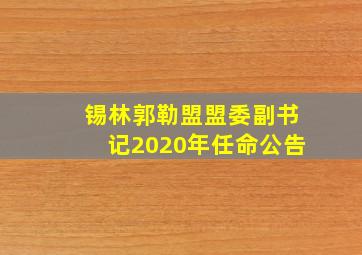 锡林郭勒盟盟委副书记2020年任命公告