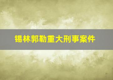 锡林郭勒重大刑事案件