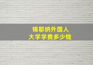 锡耶纳外国人大学学费多少钱