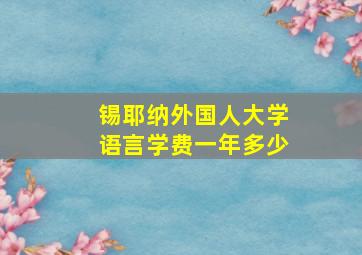 锡耶纳外国人大学语言学费一年多少