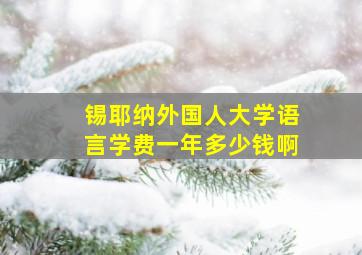 锡耶纳外国人大学语言学费一年多少钱啊