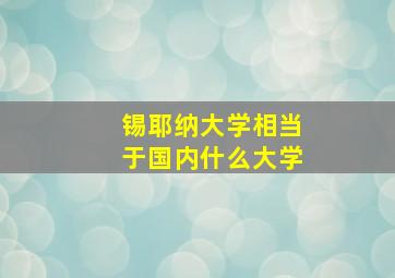 锡耶纳大学相当于国内什么大学