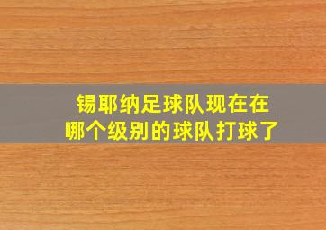 锡耶纳足球队现在在哪个级别的球队打球了