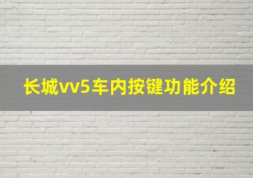 长城vv5车内按键功能介绍