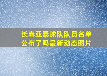 长春亚泰球队队员名单公布了吗最新动态图片