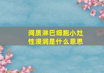 间质淋巴细胞小灶性浸润是什么意思