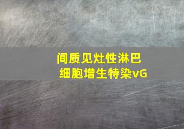 间质见灶性淋巴细胞增生特染vG