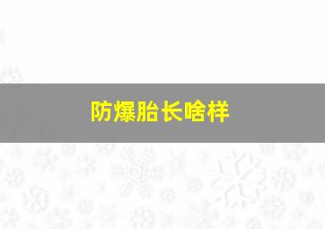 防爆胎长啥样