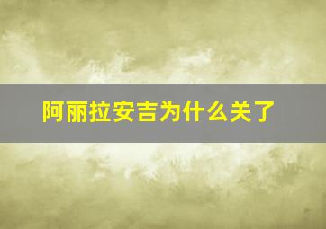 阿丽拉安吉为什么关了