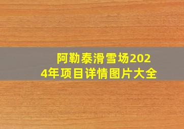 阿勒泰滑雪场2024年项目详情图片大全