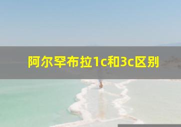 阿尔罕布拉1c和3c区别