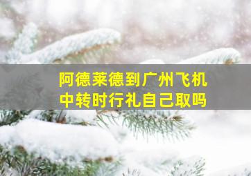 阿德莱德到广州飞机中转时行礼自己取吗