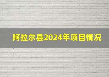 阿拉尔县2024年项目情况