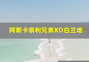 阿斯卡奈利兄弟XO白兰地