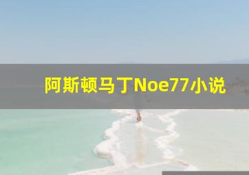 阿斯顿马丁Noe77小说