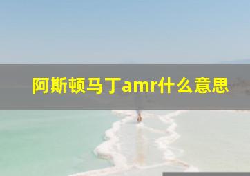 阿斯顿马丁amr什么意思