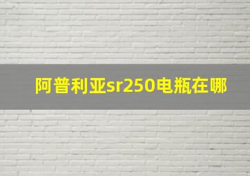 阿普利亚sr250电瓶在哪