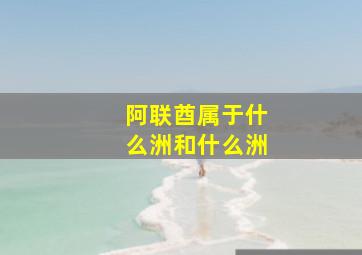 阿联酋属于什么洲和什么洲