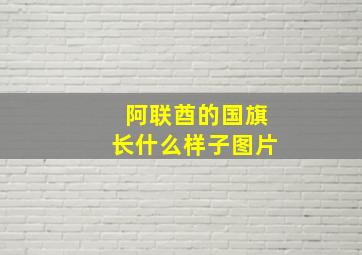 阿联酋的国旗长什么样子图片