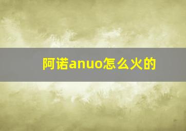 阿诺anuo怎么火的