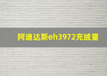 阿迪达斯eh3972充绒量