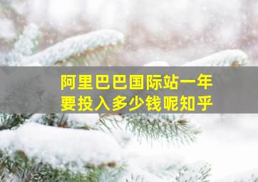 阿里巴巴国际站一年要投入多少钱呢知乎