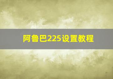 阿鲁巴225设置教程