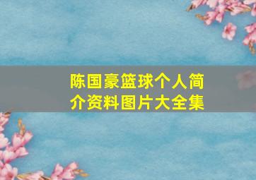 陈国豪篮球个人简介资料图片大全集