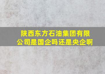 陕西东方石油集团有限公司是国企吗还是央企啊