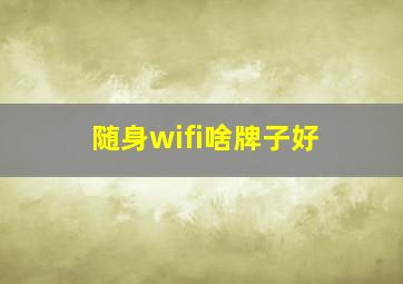 随身wifi啥牌子好