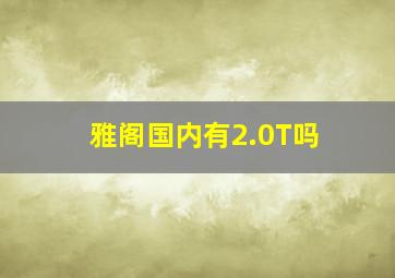 雅阁国内有2.0T吗