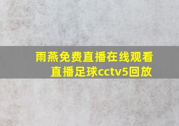 雨燕免费直播在线观看直播足球cctv5回放