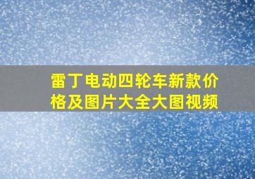 雷丁电动四轮车新款价格及图片大全大图视频