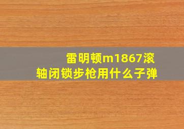 雷明顿m1867滚轴闭锁步枪用什么子弹