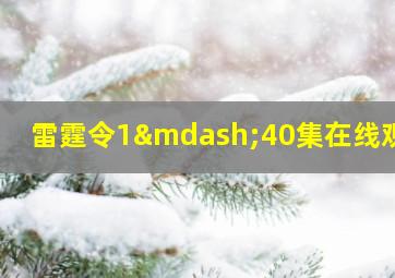 雷霆令1—40集在线观看