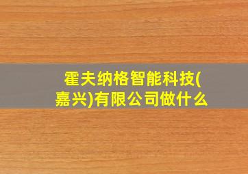 霍夫纳格智能科技(嘉兴)有限公司做什么