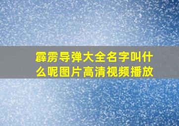 霹雳导弹大全名字叫什么呢图片高清视频播放