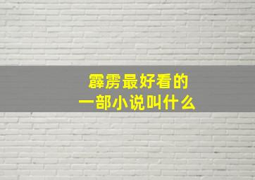 霹雳最好看的一部小说叫什么