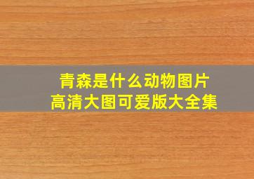 青森是什么动物图片高清大图可爱版大全集