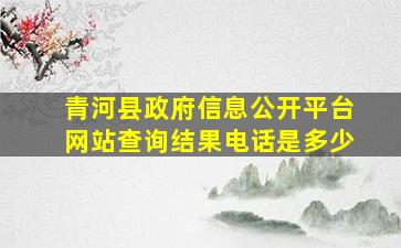 青河县政府信息公开平台网站查询结果电话是多少