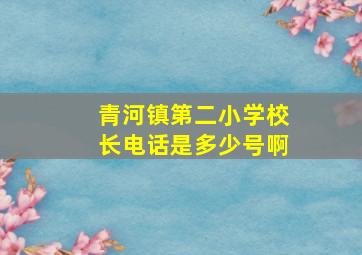 青河镇第二小学校长电话是多少号啊