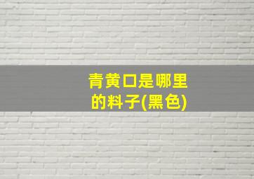 青黄口是哪里的料子(黑色)