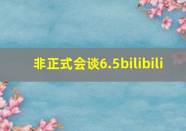 非正式会谈6.5bilibili