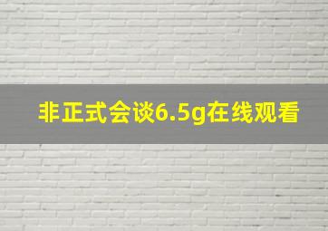 非正式会谈6.5g在线观看