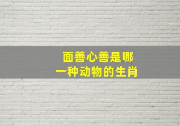 面善心善是哪一种动物的生肖