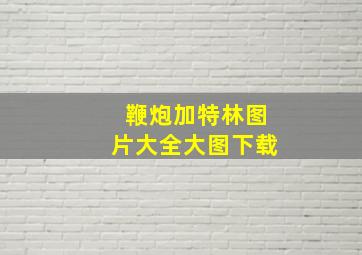 鞭炮加特林图片大全大图下载